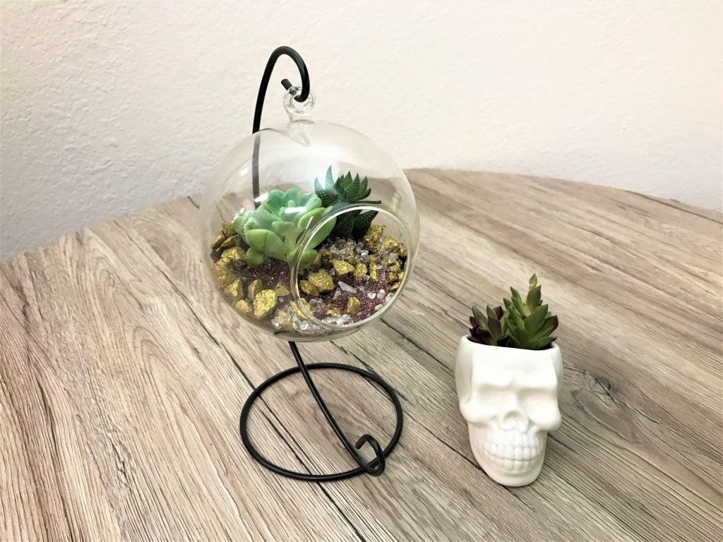 DIY Terrarium