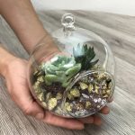 DIY glass terrarium