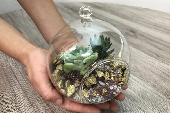 DIY glass terrarium