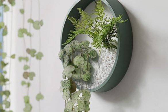 wall planters