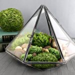 garden terrarium kit